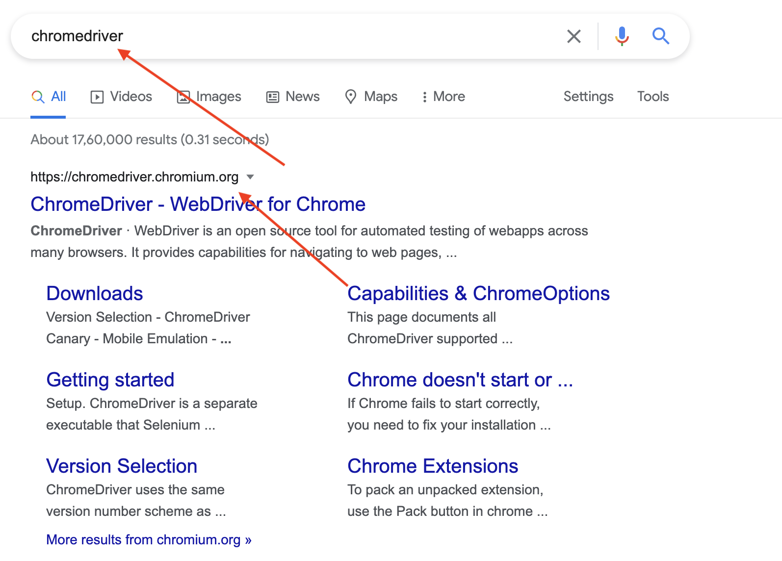 Chrome Driver Google search